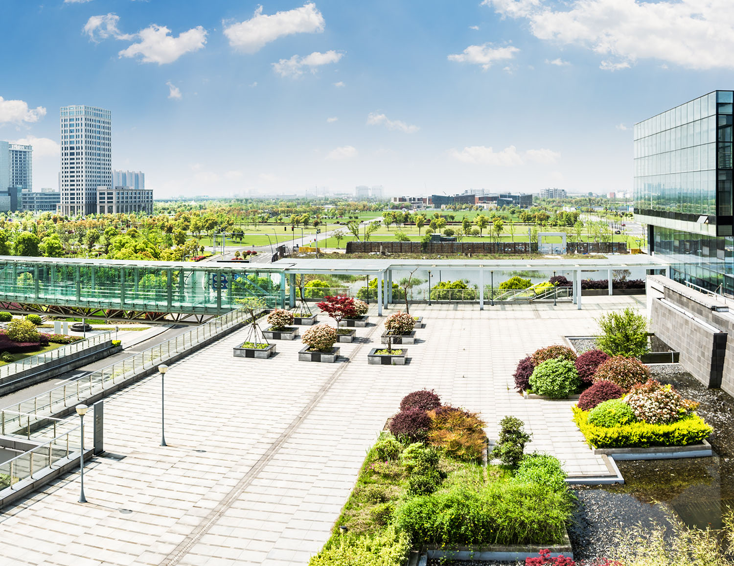 City park under blue sky with Downtown Skyline in the Background